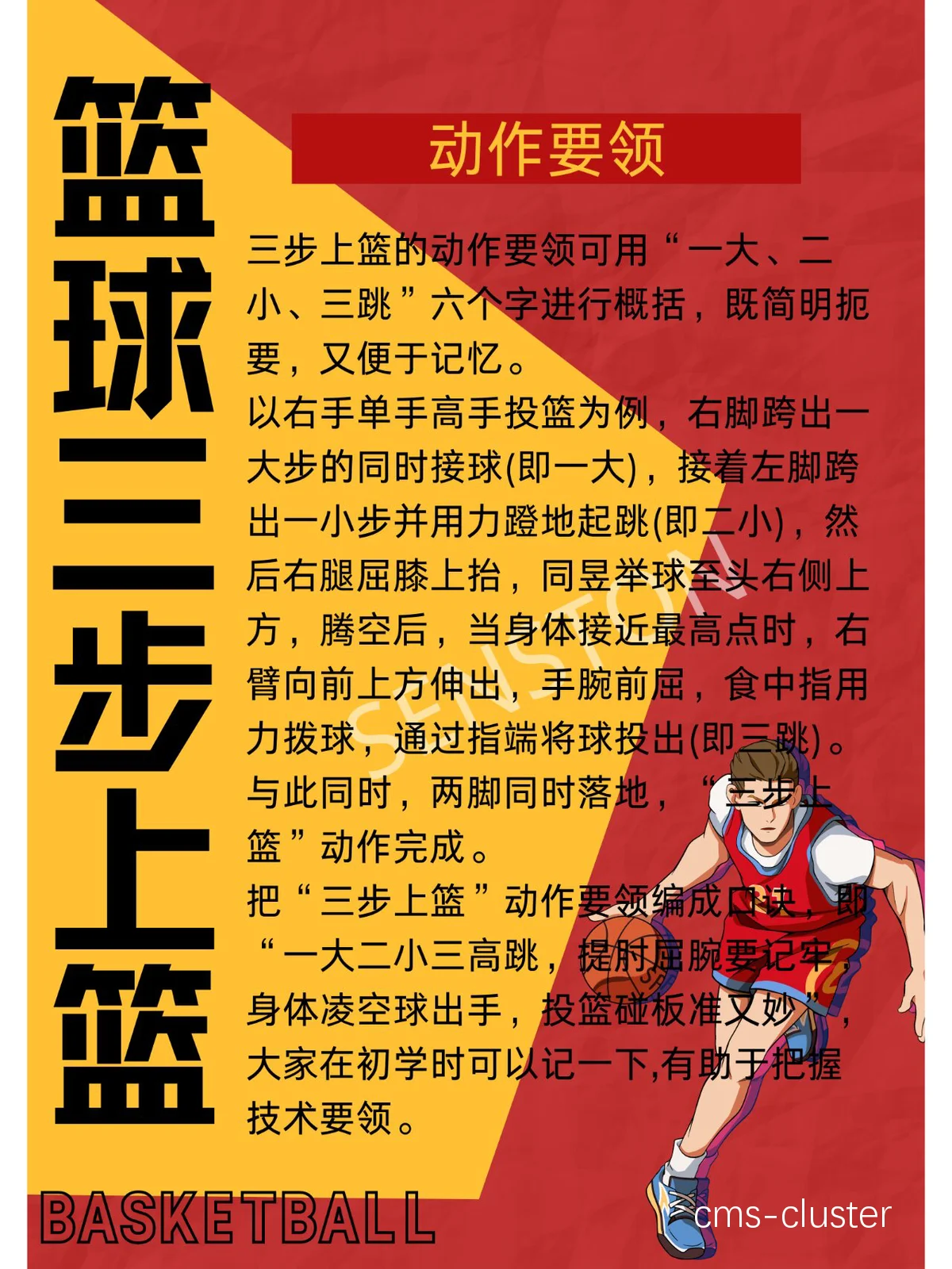 初学者如何进行规范的篮球训练